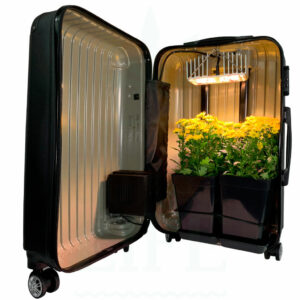 BONSANTO Grow Koffer XL