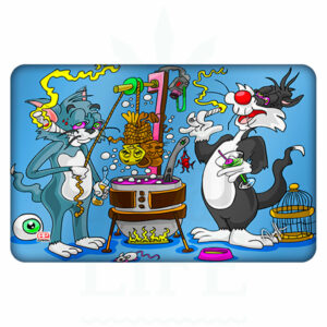 DUNKEES Dab Matte Silikon | 'Got' em'