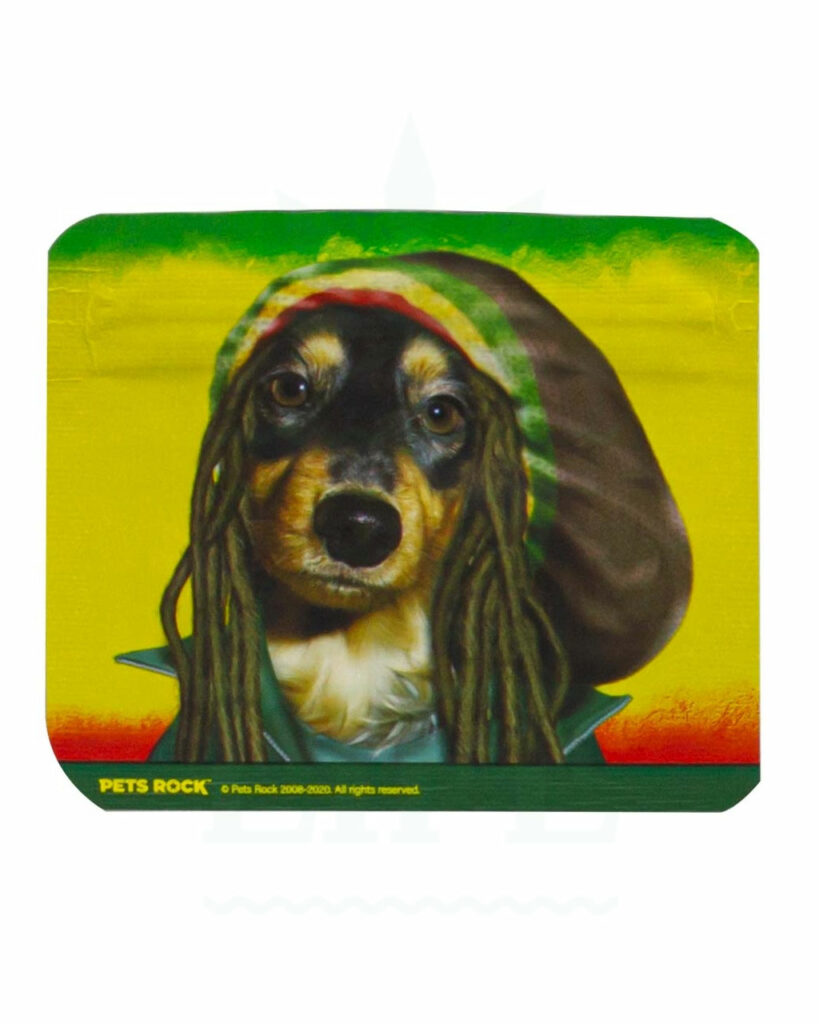 Rasta Dog
