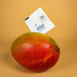 INTEGRA BOOST Feuchtigkeitsregulator 62% + Terpene | 4g