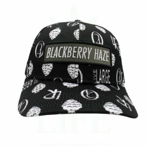 LAUREN ROSE The Collection Snapback Trucker Cap | Blackberry Haze