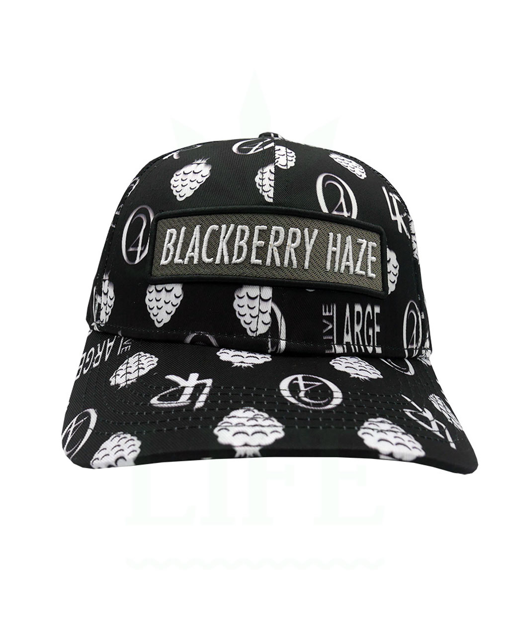 LAUREN ROSE The Collection Snapback Trucker Cap | Blackberry Haze