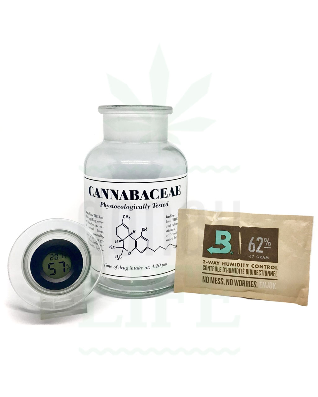 LOVE MARY LIKE JUANA Mary in a Bottle | transparent