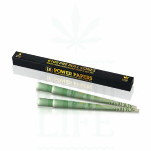 POWER PAPERS 'Scheine' Kingsize Cones | 4 Stück