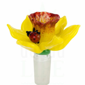 EMPIRE GLASSWORKS Bongkopf 'Narzisse' | 14