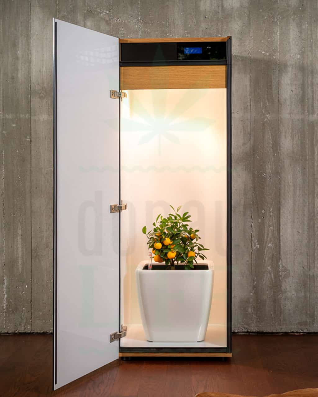 GROWFOR.LIFE Pflanzschrank