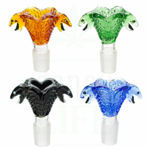 Glasflutschkopf 'Königskobra'  | 18