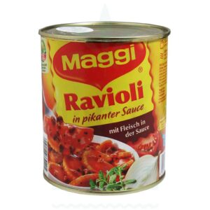 PLASTIC FANTASTIC Versteckdose groß versch. Sorten